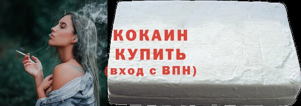 индика Арсеньев