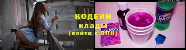 индика Арсеньев