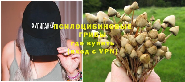 индика Арсеньев