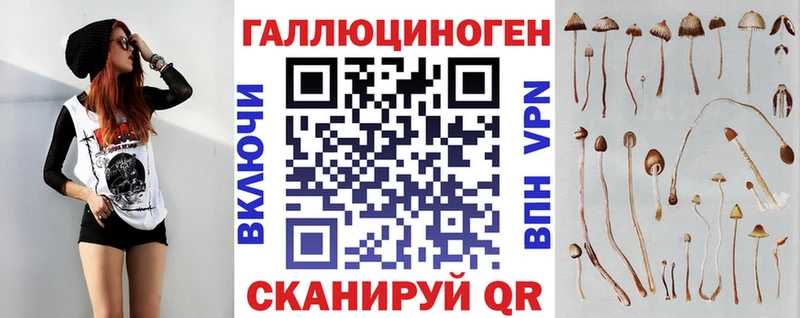 Галлюциногенные грибы GOLDEN TEACHER  сколько стоит  Строитель 